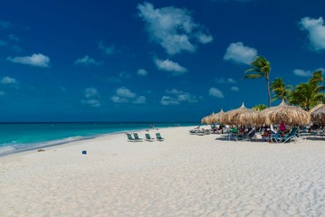 Fototapeta na wymiar panorama of the Eagle Beach of Aruba Caribbean island with white sand and palm trees in the tropical scenery of the Netherlands Antilles
