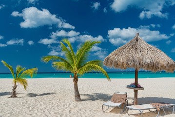 panorama of the Eagle Beach of Aruba Caribbean island with white sand and palm trees in the tropical scenery of the Netherlands Antilles