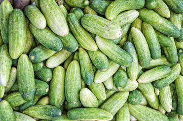 Thai Cucumbers Background