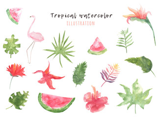 Set of tropical watercolor graphics with leaves, flowers and flamingo. Bright decoration for your design