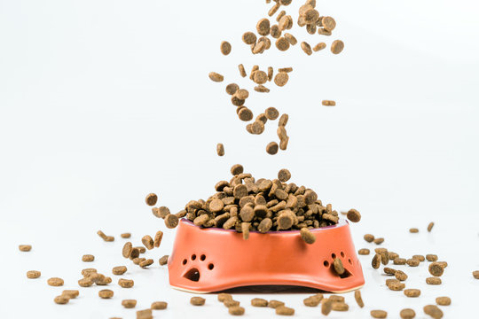 Ceramic bowl with dried pet food on white background