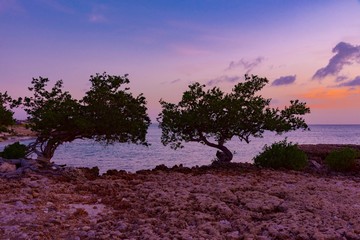 sunset over the sea of the Caribbean island of Aruba