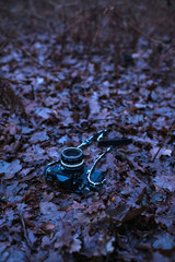Vintage slr camera lying on autumn forest ground.