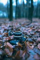 Lost vintage photo camera lying on dead leaves of forest ground.