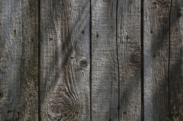 Fototapeta premium Wooden background