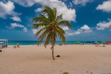 Fototapeta na wymiar colorful tropical beach 