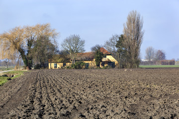 Fototapeta premium Plowed field in the Netherlands