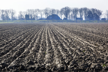 Plowed field in the Netherlands