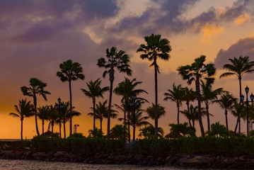 Fototapeta na wymiar colorful sunset with boats in the ocean in the caribbean sea Island of Aruba