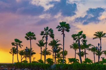 brilliant sunset over the port of Aruba in the Caribbean sea with ships and planes landing