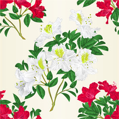 Seamless texture white and red rhododendron twig with flowers and leaves mountain shrub vintage vector editable illustration hand draw