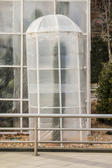 Measures to protect heat-loving plants in winter. Device greenhouses made of polyethylene to protect the cacti from the cold wind. Baku, Azerbaijan