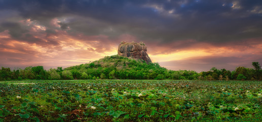 Sunset view of Lion Rock in Sigiriya, Sri Lanka - obrazy, fototapety, plakaty
