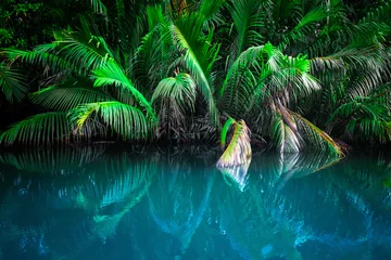 Wall murals Green Blue Fantasy landscape of tropical lake