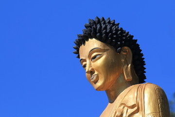 Kedareshwor Mahadev Buddhist temple Buddha statue Pokhara Nepal