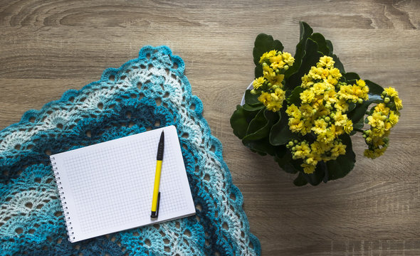 background tree yellow flower kalandi blue sectional dyeing scarf bactus crocheted mohair merino wool acrylic yarn notepad pen 