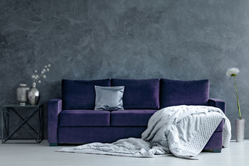 Violet and silver living room