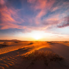 Stunning view of lonely sand dunes under amazing evening sunset sky at drought desert landscape. Global warming concept