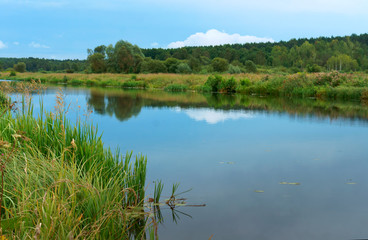 Obraz na płótnie Canvas Lake or fishing pond. Landscape a beautiful pond. Forest natural pond