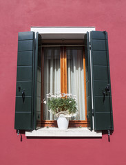 Beautiful window with shutters and a bouquet of daisies in a vase on the windowsill in one of the houses on the island of Burano. Venice, Italy