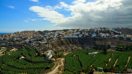 Fototapeta na wymiar View from above on bananas plantation in Las Palmas, the capital city of Gran Canaria Island.