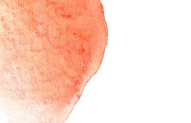 Fototapeta premium Abstract Orange watercolor on white background. The color splashing on paper.