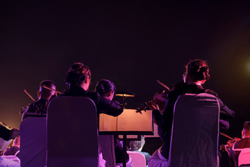 Concert / Rear view of musician playing the violin in concert at night. Movement, Soft focus. © wimage72