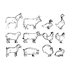 set of farm animal vector illustration sketch hand drawn with black lines isolated on white background