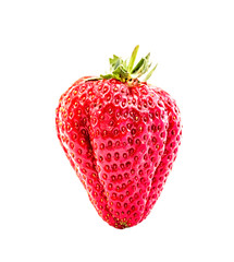 whole ripe strawberry isolated on the white background