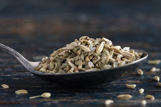 Fennel Seeds on a Vintage Spoon