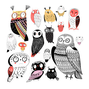 Vector cheerful collection of graphic owls on a white background.