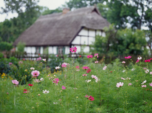 flowers and old wooden house in Kluki, Poland