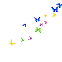 Summer Background with Colorful Butterflies. Simple Feminine Pattern for Card, Invitation, Print. Trendy Decoration with Beautiful Butterfly Silhouettes. Vector Background with Moth