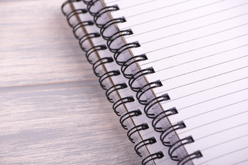 Spiral rings of notebook. Mockup.