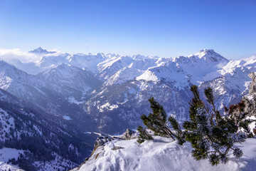 Blick in die Allgäuer Alpen