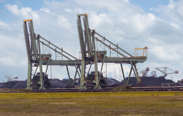Fototapeta na wymiar coal transfer in rotterdam harbour