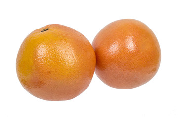 pair of sweet and fresh oranges