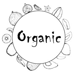 Black and white banner fruit sketch hand drawing simple minimal vector card