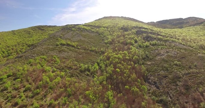 Aerial View Of Hayedo de Tejera Negra 3