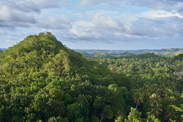 Fototapeta na wymiar Famous Chocolate Hills view, Bohol Island, Philippines