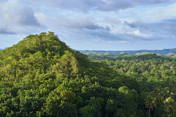 Fototapeta na wymiar Famous Chocolate Hills view, Bohol Island, Philippines
