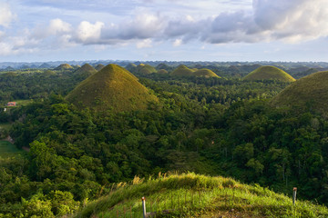 Famous Chocolate Hills view, Bohol Island, Philippines