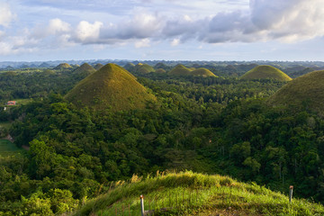 Fototapeta premium Famous Chocolate Hills view, Bohol Island, Philippines