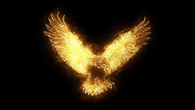 Gold Burning Eagle Animated Logo Loopable Graphic Element