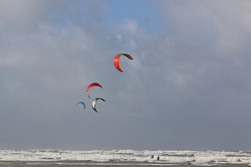 kitesurfers riding in the surf