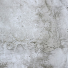grey concrete wall.