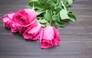 Pink rose on wooden background
