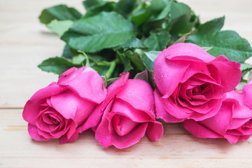 Pink rose on wooden background