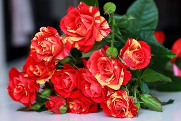 rose