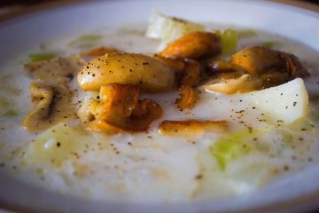 Mushroom soup